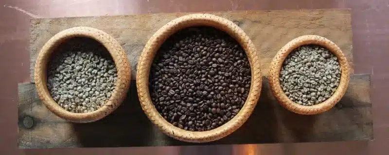 An image of coffee beans in pots