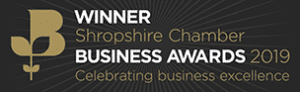 An image of a business awards winner award