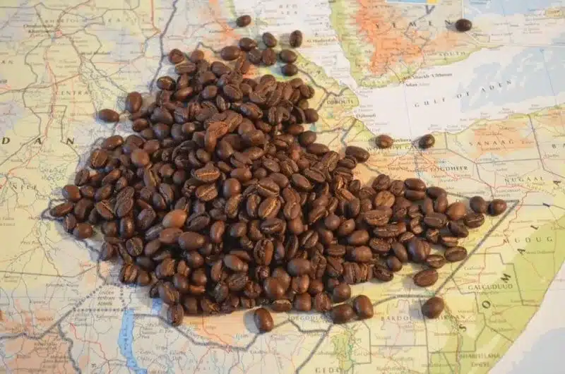 An Image of coffee beans on a map of the world.