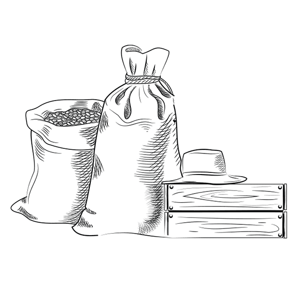 Fresh Roasted Coffee Beans Iron & Fire Specialist Coffee Roasters