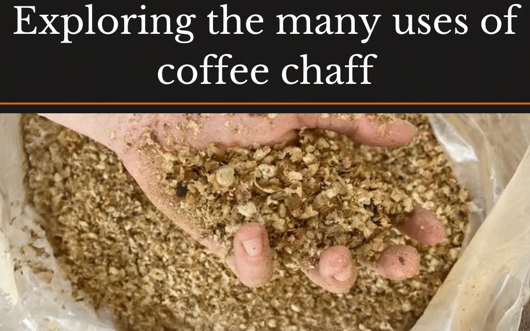 Zero-Waste Coffee: Exploring the Many Uses of Coffee Chaff