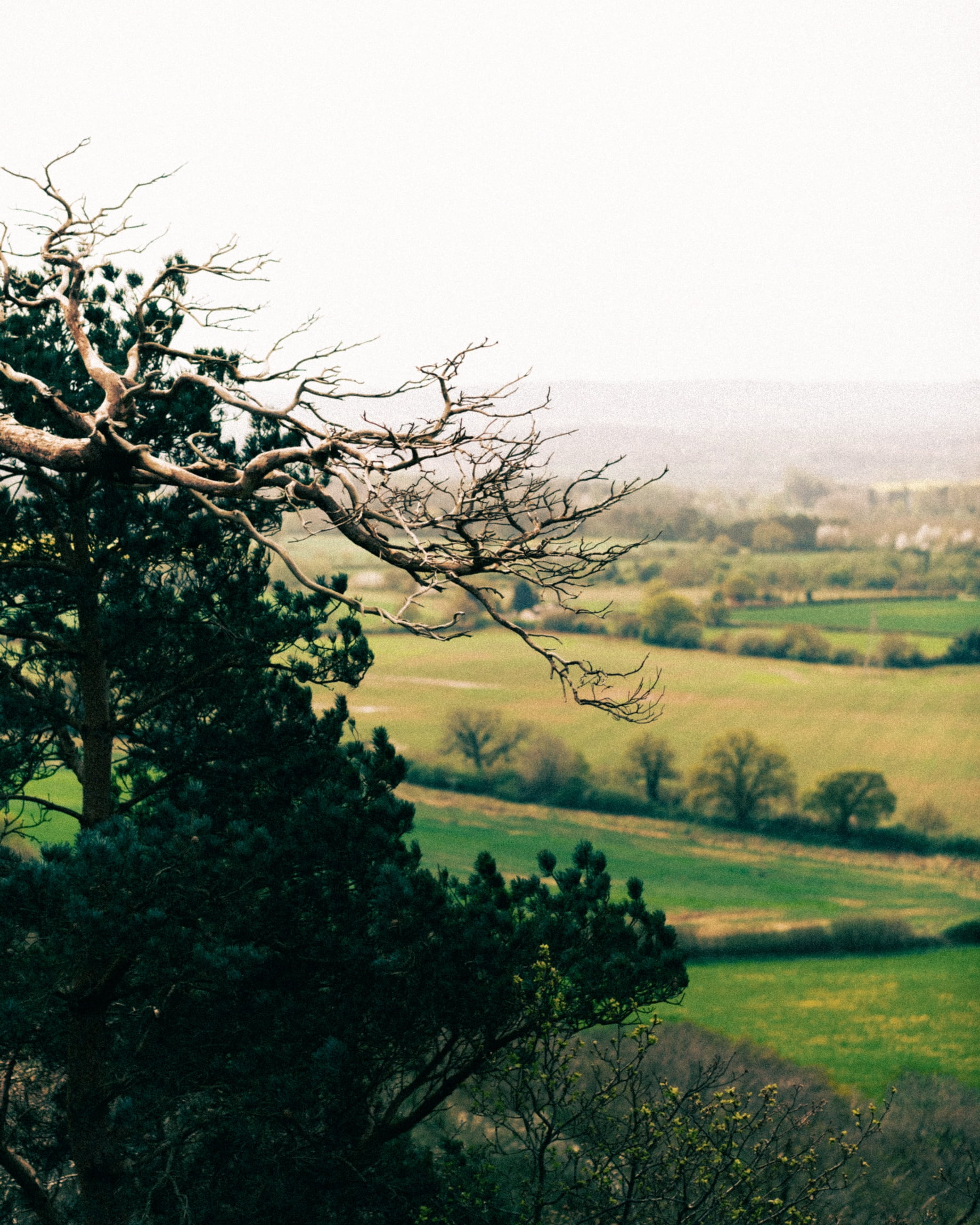 The views from Haughmond Hill, in Shropshire